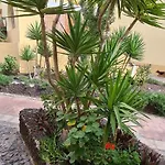 Appartement Mare 2