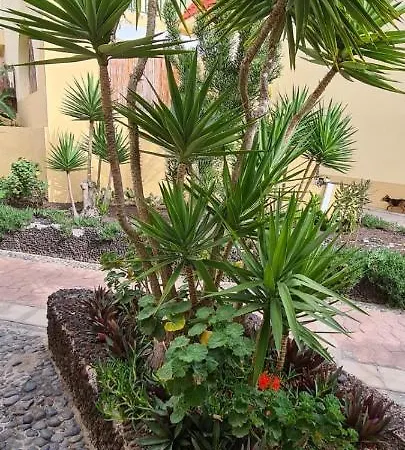 Apartament Mare 2